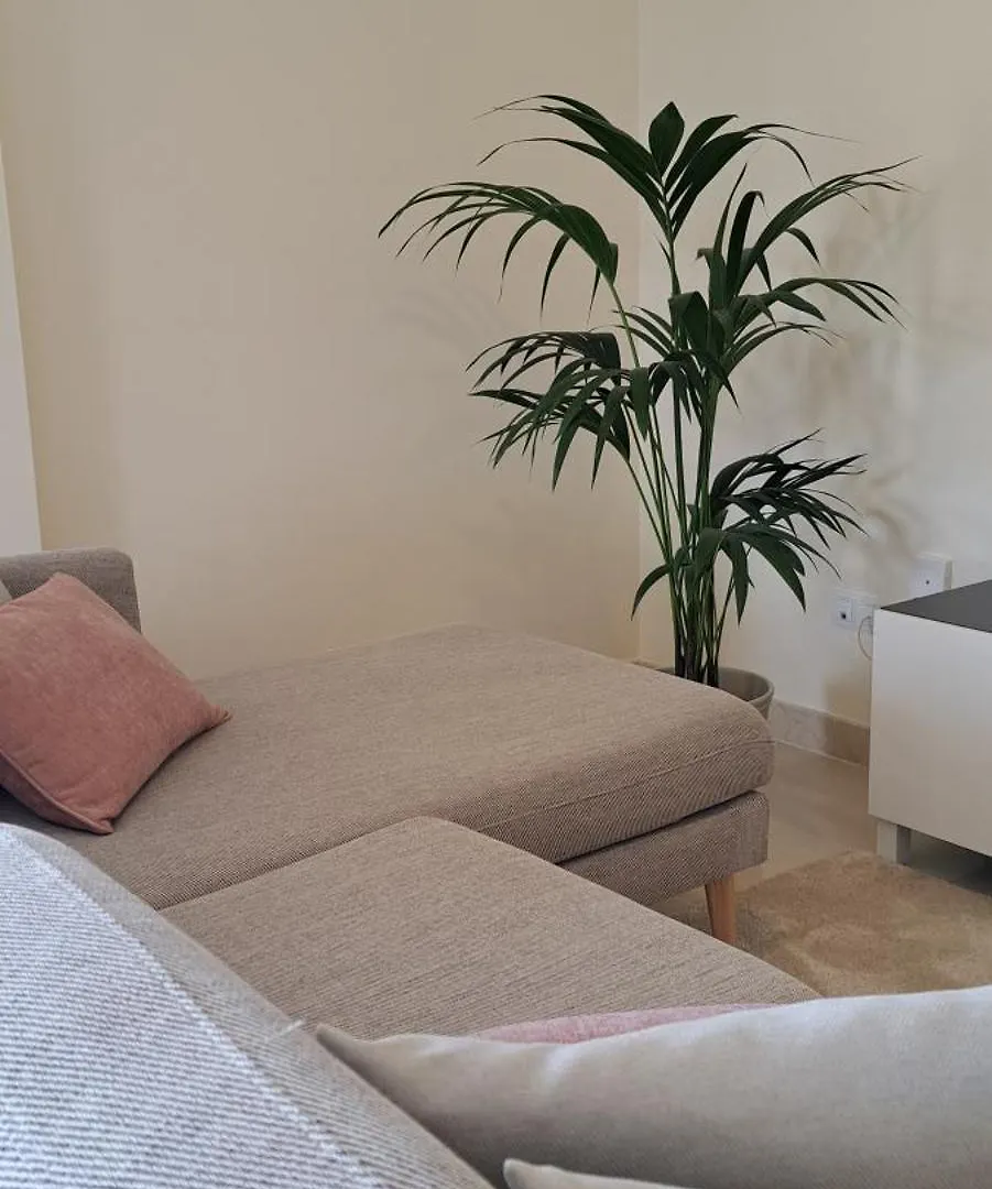 Apartmán Casa Ella Palm-mar Španělsko